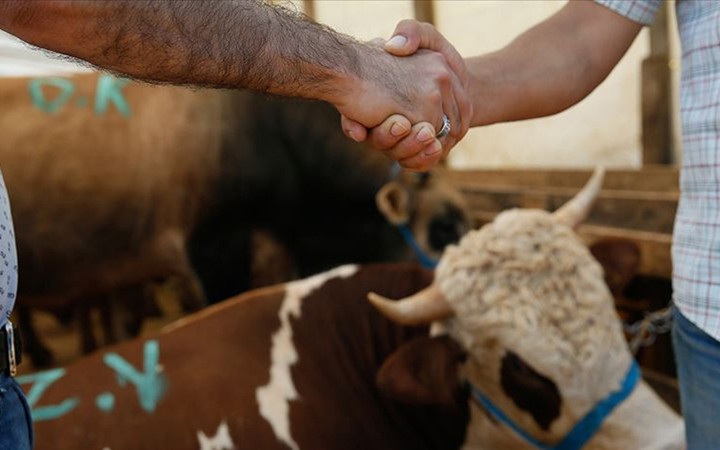 Taksitle ve banka kredisiyle kurbanlık alınır mı? Bunu yapanın kestiği kurban kabul olmaz