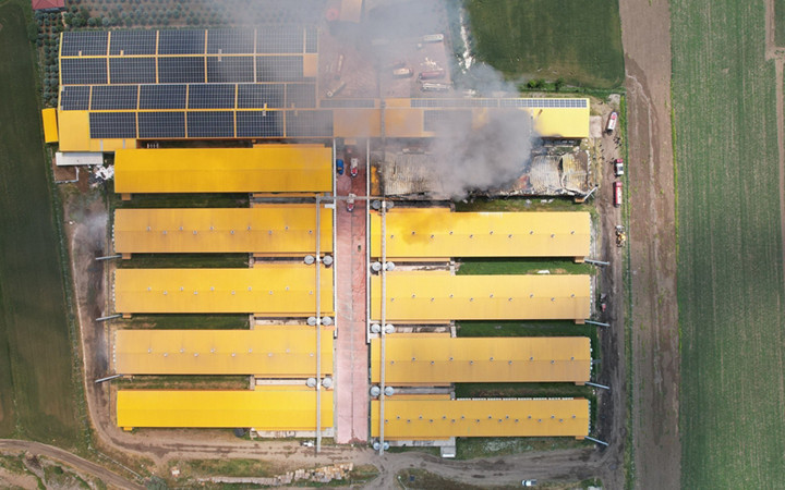 Ankara'da yumurta üretim tesisinde yangın çıktı! Bir kümeste 140 binden fazla tavuk...