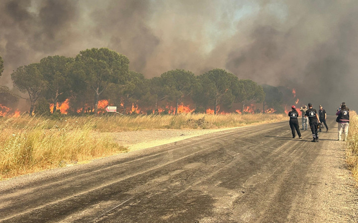 İstanbul'da orman yangını çıktı! Alevler yükseliyor