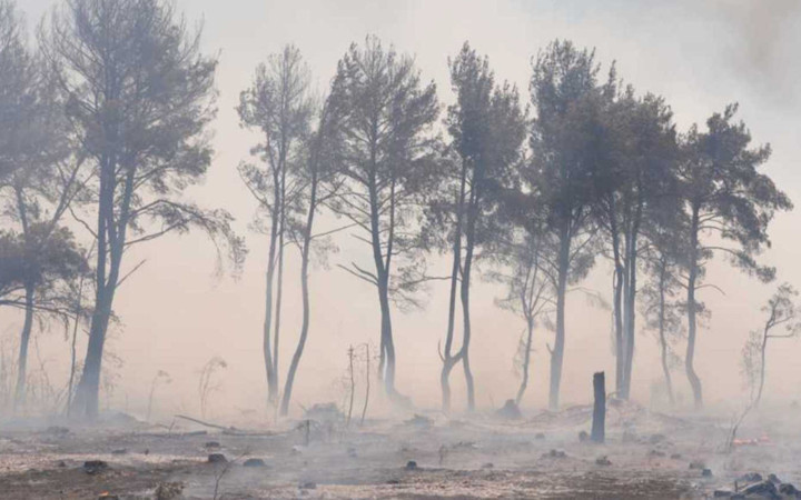 İbrahim Yumaklı açıkladı: 10 yangından 7'si kontrol altında