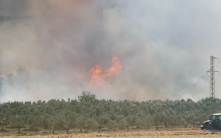 Tekirdağ'da anız yangını paniği: Alevler ormana sıçradı