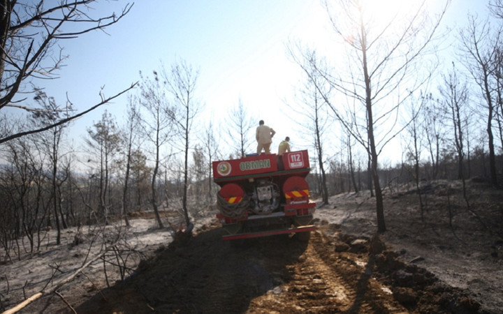 Henüz nedeni belirlenemedi ama... Ortaya çıkan görüntüler yürekleri yaktı...