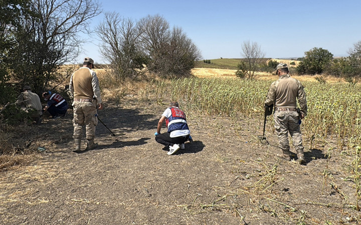 Edirne'de ayçiçeği tarlasında başından vurulmuş kadın cesedi bulundu