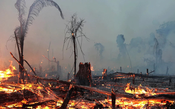 Orman yangınları bilançosu belli oldu! Bakan Yerlikaya il il açıkladı