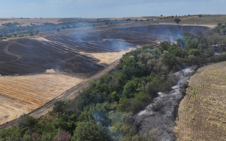Edirne'de anızda başlayan yangın ağaçlık alana sıçramıştı! Yangın söndürüldü...