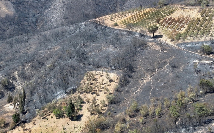 Kocaeli'de ormanlar küle döndü! Ortaya çıkan görüntüler yangının boyutunu ortaya çıkardı
