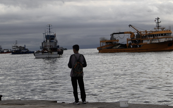 Balık bolluğu yaşanıyor! Balıkçıların Karadeniz'deki hamsi avı sürüyor