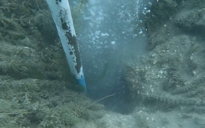 Sapanca Gölü'nde neler oluyor? Fokur fokur kaynıyor depremin habercisi mi?