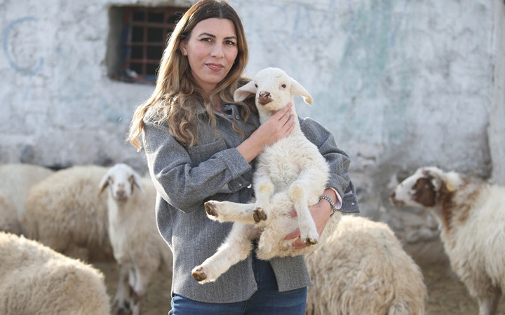 İstanbul'dan sıkıldı köyüne dönüp hayvancılığa başladı! 3 yılda sürüsünü 4'e katladı şimdiki hedefi...