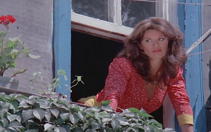 Yeşilçam'ın efsane ismi Gülşen Bubikoğlu, son haliyle herkesi şaşırttı! Kim der 71 yaşında...