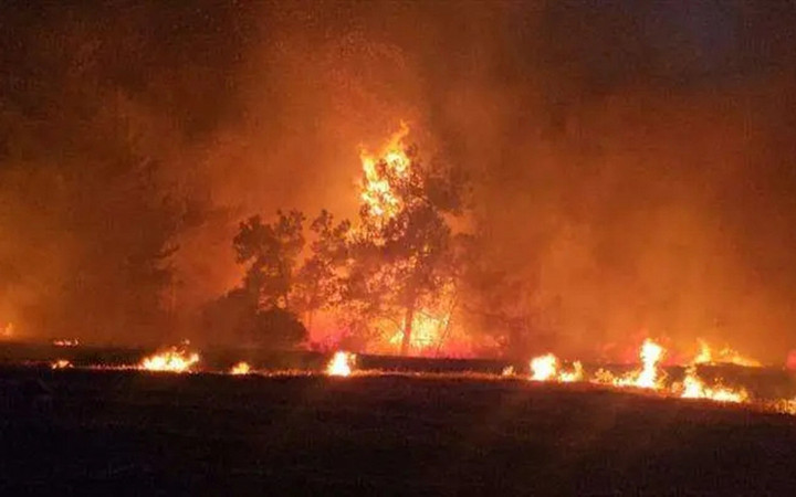 Muğla, Antalya, Balıkesir ve Çanakkale'de orman yangını! işte 4 ildeki son durum