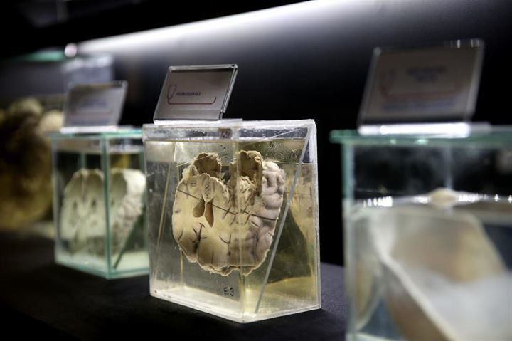 Osmanlı dönemi şifa müzesi açıldı - Resim: 1