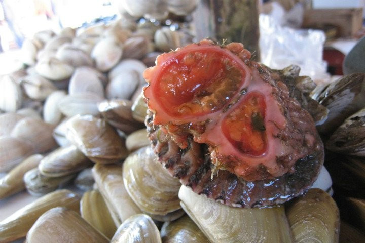 Açlıktan ölecek olsanız bile bunu yer miydiniz?  - Resim: 1