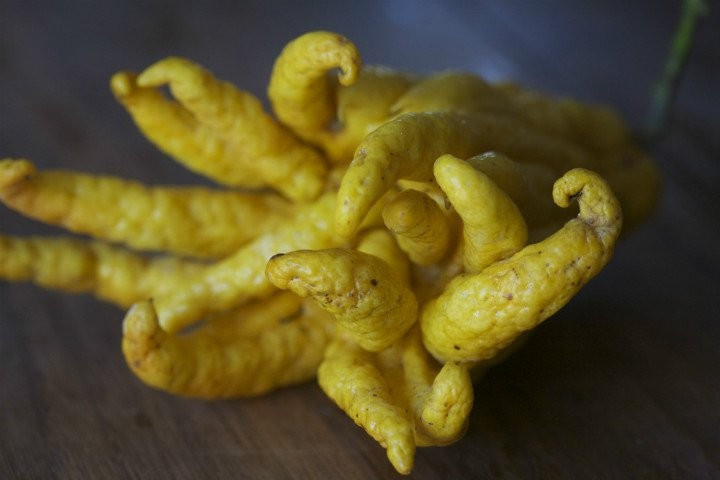 Açlıktan ölecek olsanız bile bunu yer miydiniz?  - Resim: 4