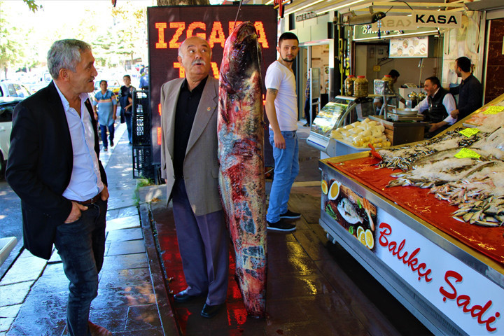 Yeşilırmak'tan "Jaws" çıktı! Fiyatını duyanlar... - Resim: 2