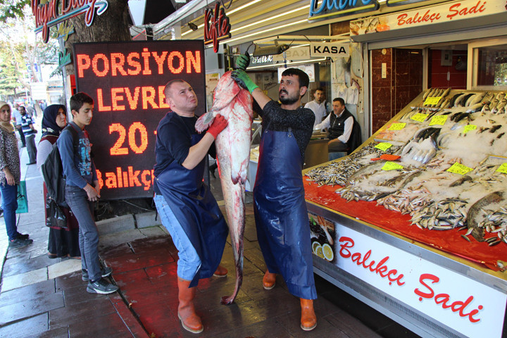 Yeşilırmak'tan "Jaws" çıktı! Fiyatını duyanlar... - Resim: 4