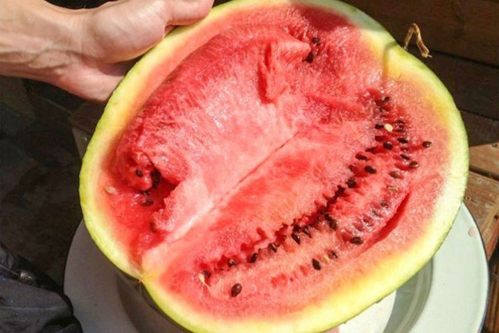 Karpuzun faydaları neler? İşte yazın karpuz tüketmenin 11 faydası! - Resim: 4