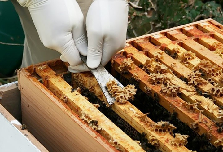 Bilimsel olarak kanıtlandı grip ve dudak uçuklarına karşı bire bir - Resim: 2