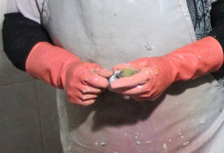 Hem eti hem kabuğu 15 milyon dolar kazandırıyor - Resim: 3