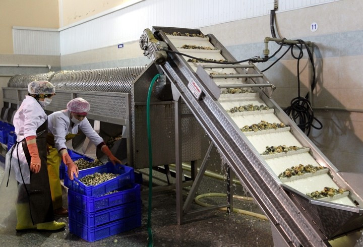 Eti ayrı kabuğu ayrı para - Resim: 2