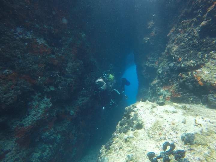 Dünyanın en büyüğü Edirne'de! Binlerce kişi dev batığı görmek için dalıyor - Resim: 2