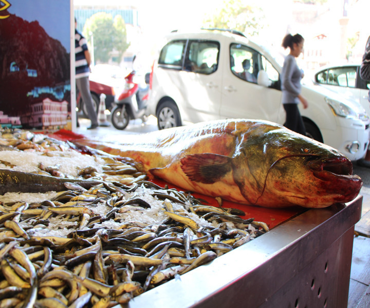 Yeşilırmak'tan "Jaws" çıktı! Fiyatını duyanlar... - Resim: 3