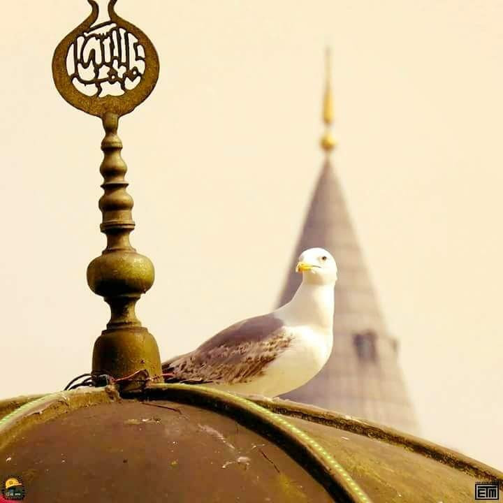 Cuma mesajları en anlamlı hadisli sözler sayfası 25 Ocak 2019 - Resim: 4