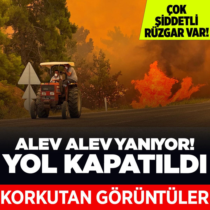 Seydikemer orman yangınında son durum ne? İkinci güne girildi iyi haber yok