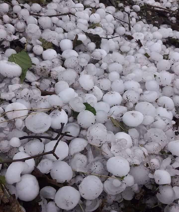 Ordu'da dolu afeti - Resim: 2