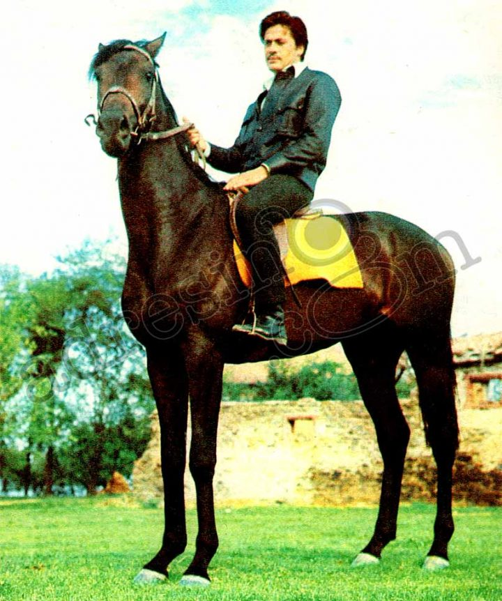 Cüneyt Arkın'ın ilginç vasiyeti ortaya çıktı! 'Tek isteğim eşim Betül'den önce ölmek' demişti - Resim: 3