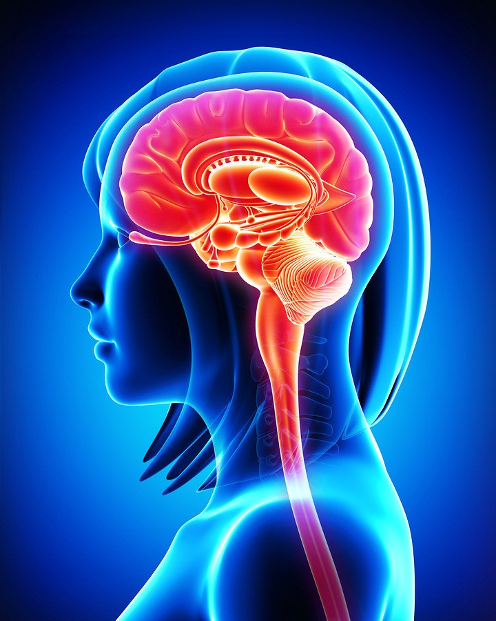 Kadın beyni erkeğinkinden daha fazla düşünüyor - Resim: 2