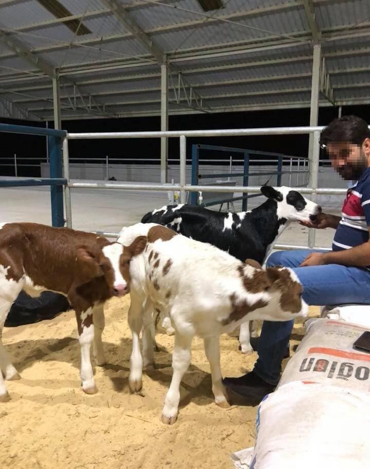 Polisi askeri ve bankaları dolandıran adam eşi ve çocuklarını bırakıp bakın ne yaptı - Resim: 2