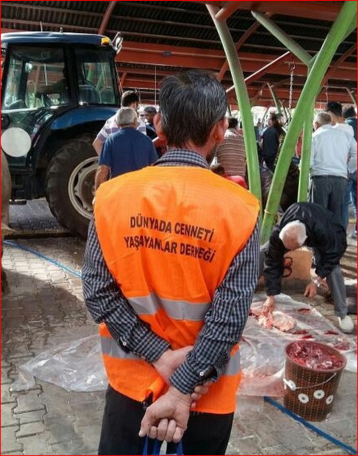 Böylesini sadece Türkiye'de görebilirsiniz! Telefona sarıldı - Resim: 2