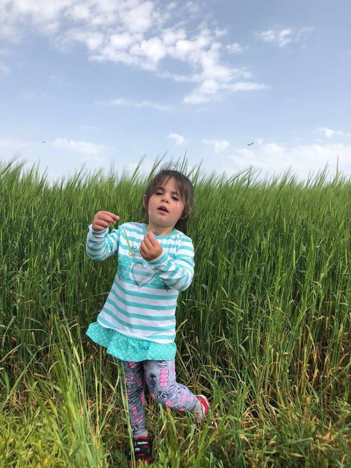 Leyla Aydemir cinayetiyle ilgili bomba iddia! Tek başına değil... - Resim: 3