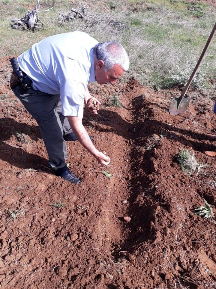 25 kilo salep soğan ile yakalandılar! 300 bin TL ceza yediler - Resim: 2