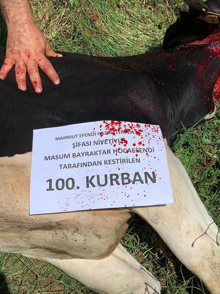 Mahmut Ustaosmanoğlu için 100 kurban kesen kişi kovulan mürid çıktı - Resim: 4