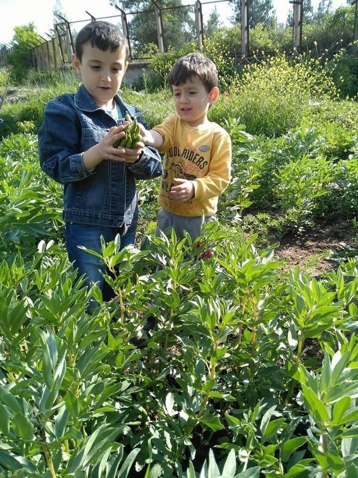 Beton mikseri 5 kişilik aileyi tatil yolunda biçti! Feci ölüm - Resim: 4
