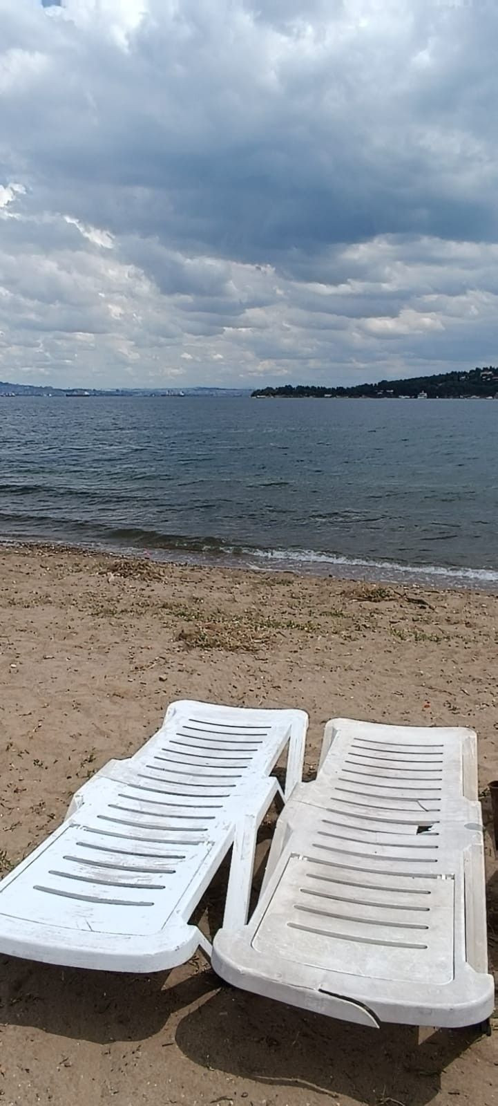 Büyükada'da striknin tehlikesi! Zehirli madde halk plajındaki kuma karıştı 'Öldürebilir' - Resim: 2