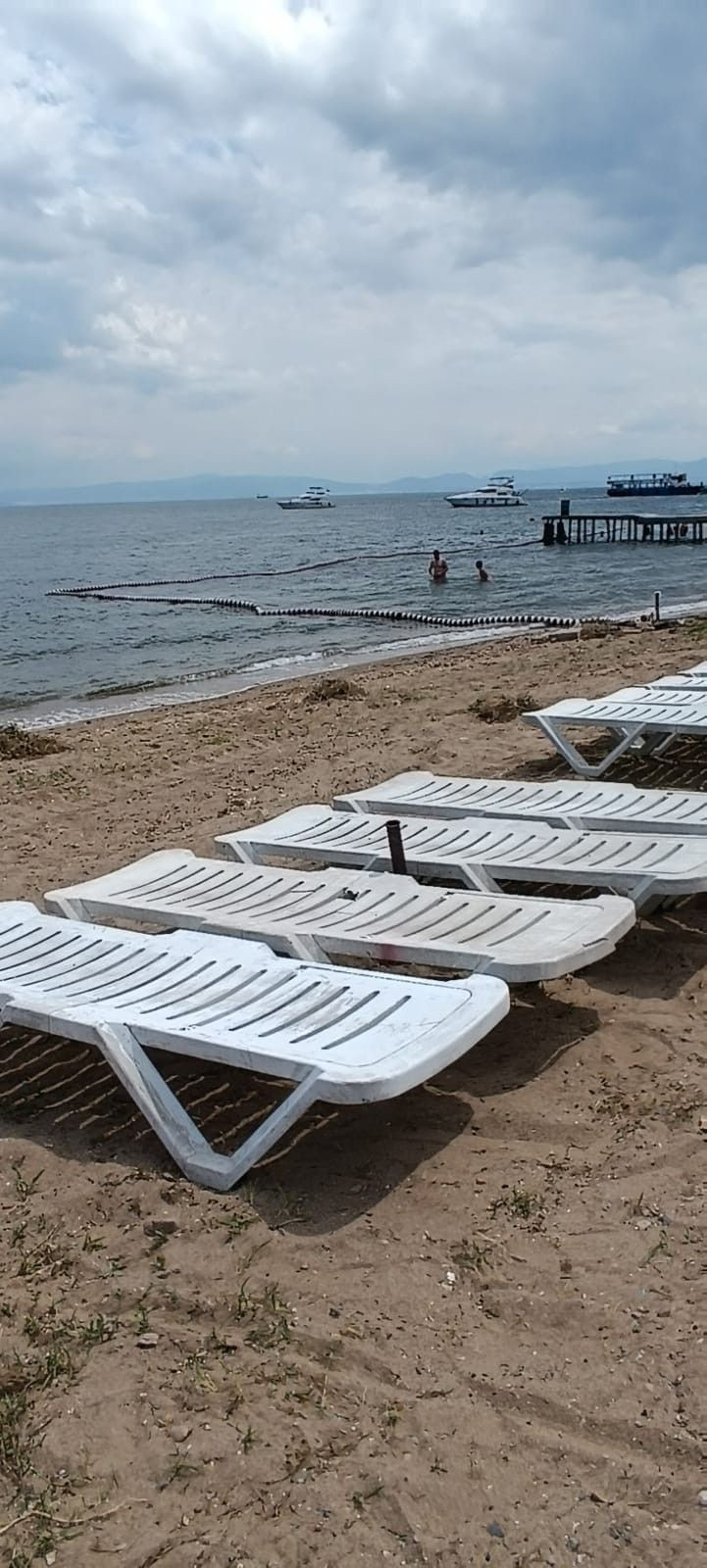 Büyükada'da striknin tehlikesi! Zehirli madde halk plajındaki kuma karıştı 'Öldürebilir' - Resim: 4