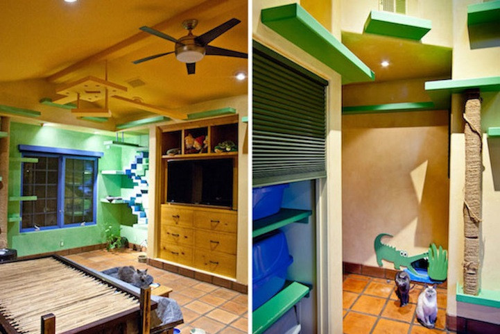 Kedileri için 35 bin dolar harcadı - Resim: 4