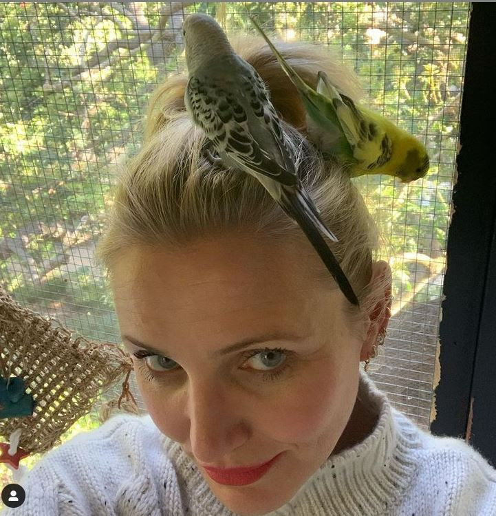 Cameron Diaz'dan 'cinsel ilişki' itirafı! 'Genç görünmemin nedeni bu' - Resim: 4