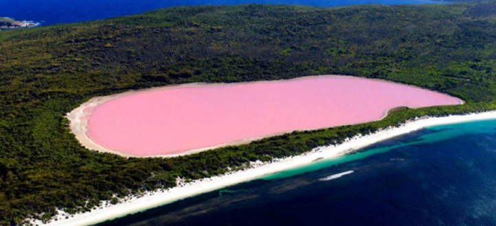 Gerçek! Bu gölün rengi pembe - Resim: 1