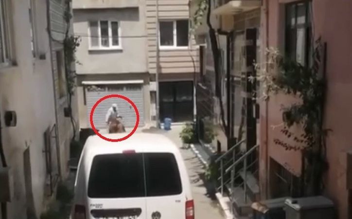Bursa'da kaçan kurbanlık hayvanlar ortalığı birbirine kattı - Resim: 2