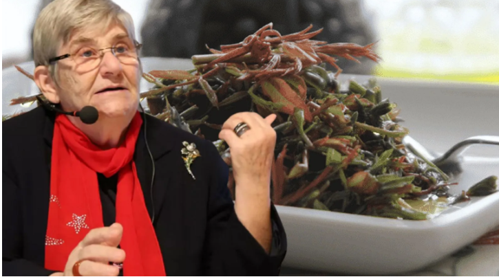 Dünyanın en sağlıklı yemeği! Canan Karatay açıkladı tarifi basit - Resim: 1