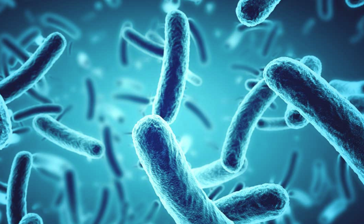 Bilim insanları "1000 yıl yaşamak mümkün" dedi bu formülü verdi - Resim: 2