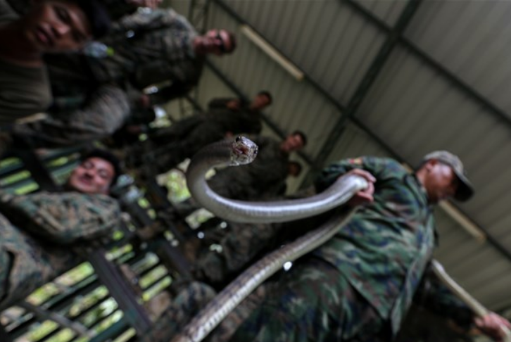 Herkes cesaret edemez! Hayatta kalma eğitimi dehşete düşürdü - Resim: 3