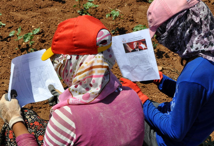 Tarlada karne dağıtıldı - Resim: 1