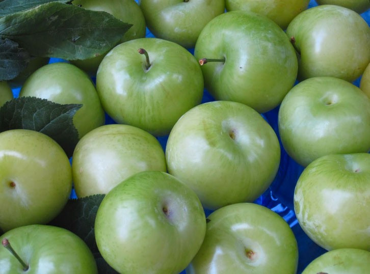 Eriğin tanesi bakın ne kadara satılıyor duyan şokta! - Resim: 4