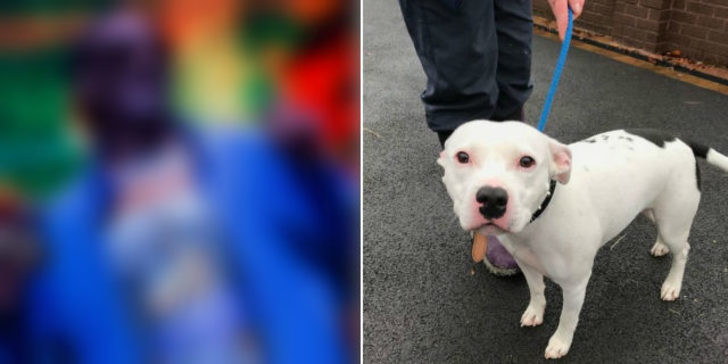 Sahibinin terk ettiği köpeği ünlü şarkıcı sahiplendi - Resim: 3