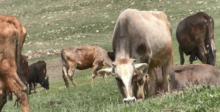 60 bin lira maaşla eleman bulamıyorlar! - Resim: 2